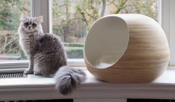 Introducing eco-friendly bamboo cat furniture