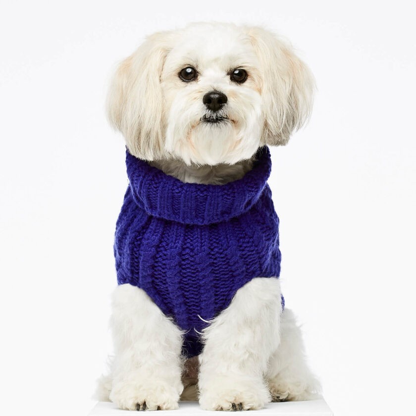 Blue cashmere and merino wool luxury dog jumper 1