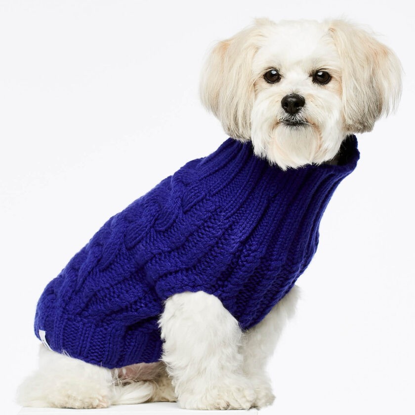Blue cashmere and merino wool luxury dog jumper 2