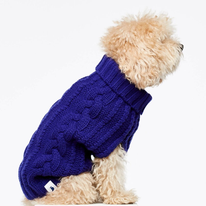 Blue cashmere and merino wool luxury dog jumper 3