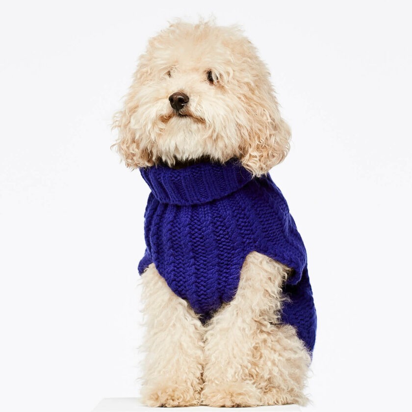 Blue cashmere and merino wool luxury dog jumper 4