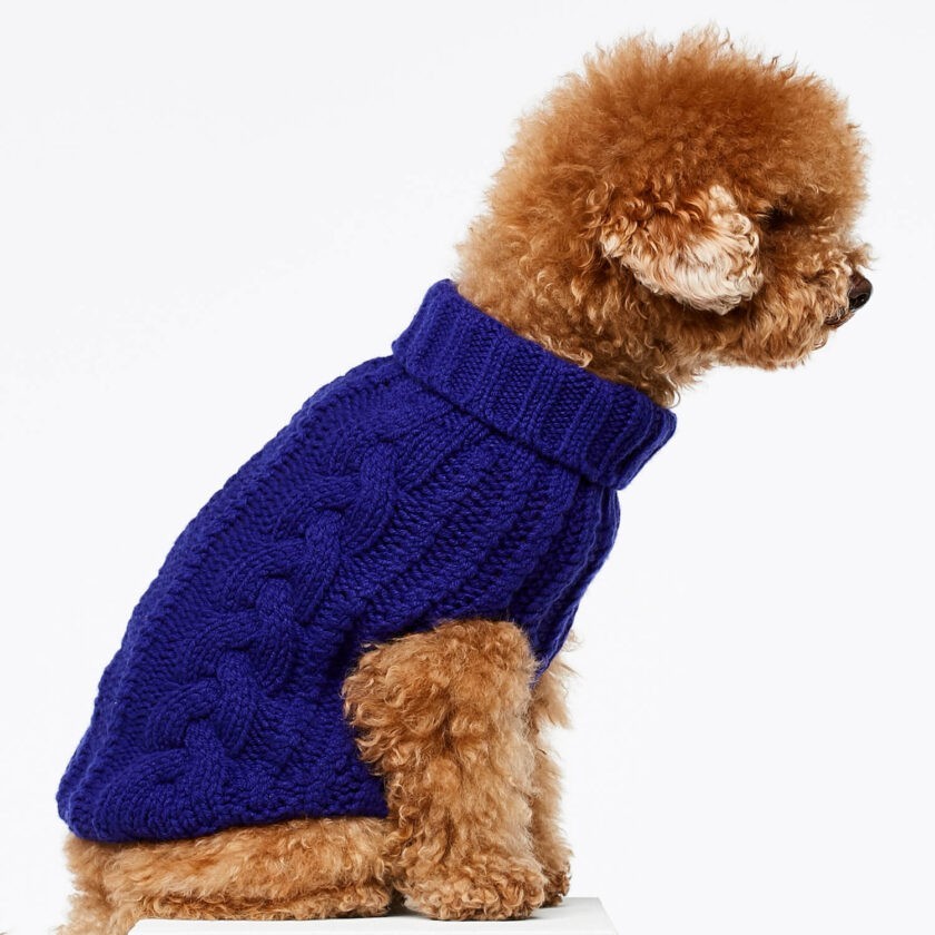 Blue cashmere and merino wool luxury dog jumper 5
