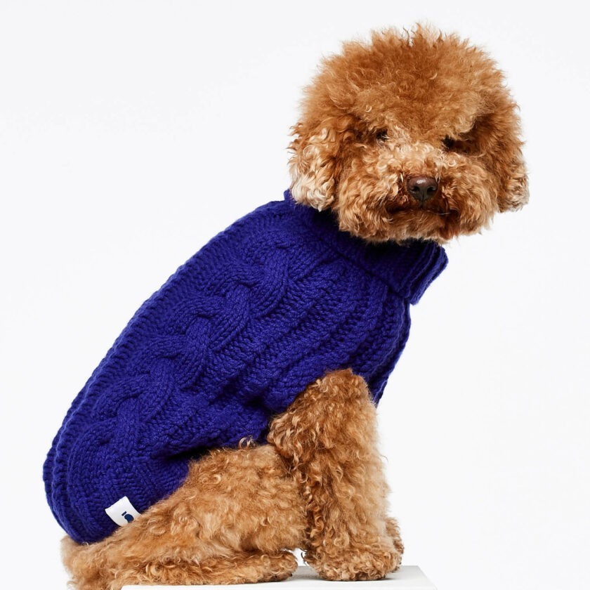 Blue cashmere and merino wool luxury dog jumper 6