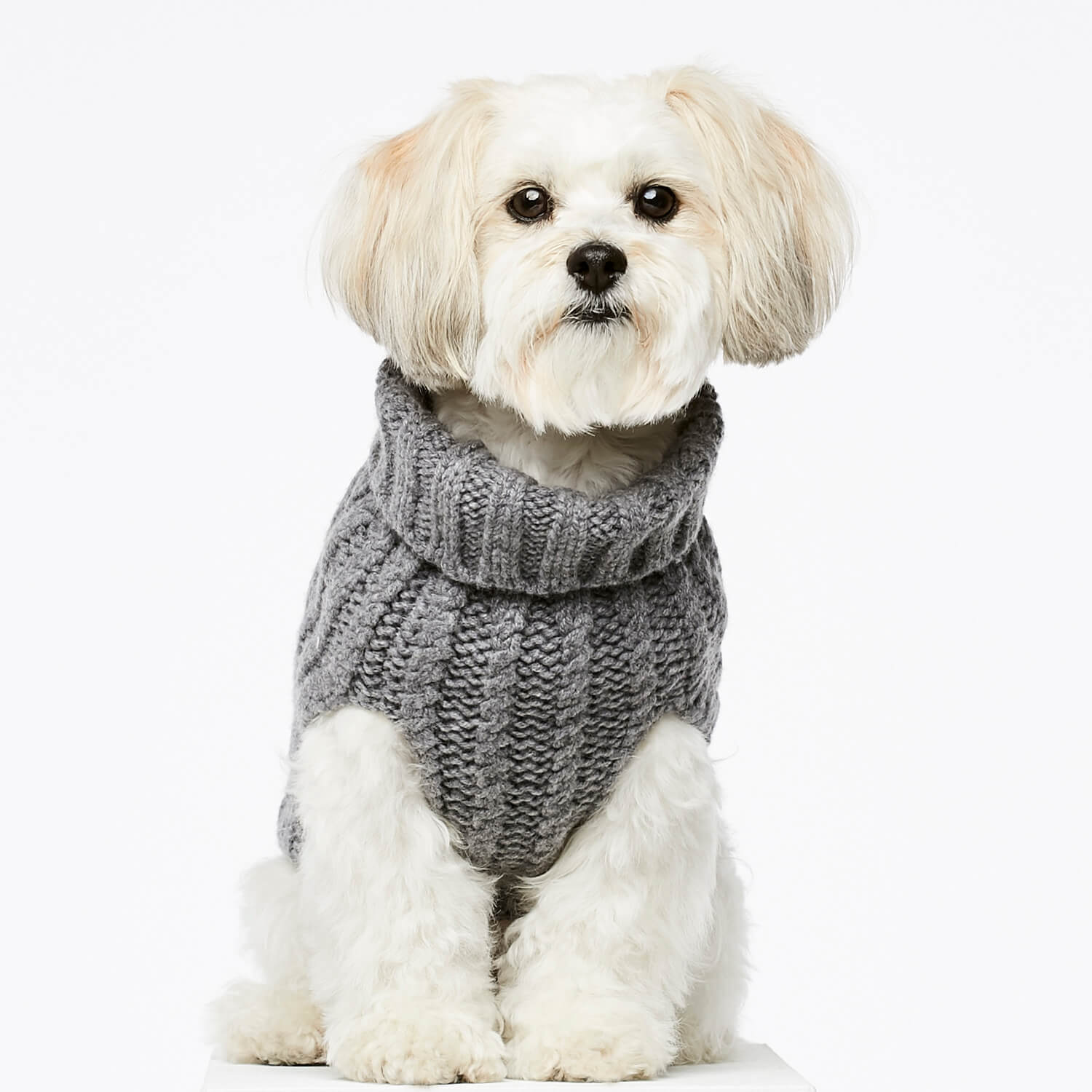 Haustierbedarf Hunde Kleidung & Accessories Pullover BM Pullover Dog striped turtle neck jumper 