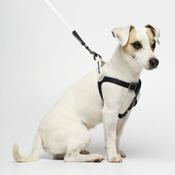 lightweight nylon dog harness navy and white 1