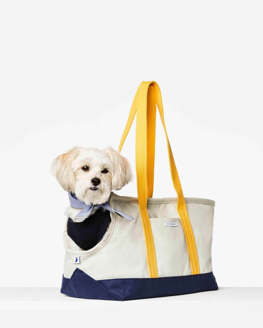 white, navy and yellow dog carrier 2