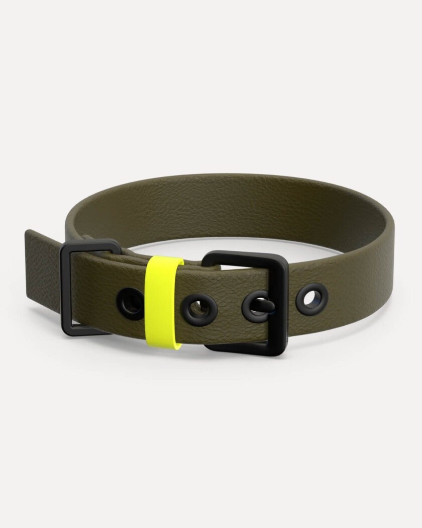Fashionable vegan leather dog collar