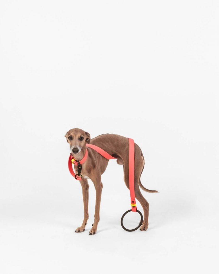 Fashionable coral vegan leather dog lead 3