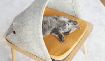How to do cat furniture, the French way
