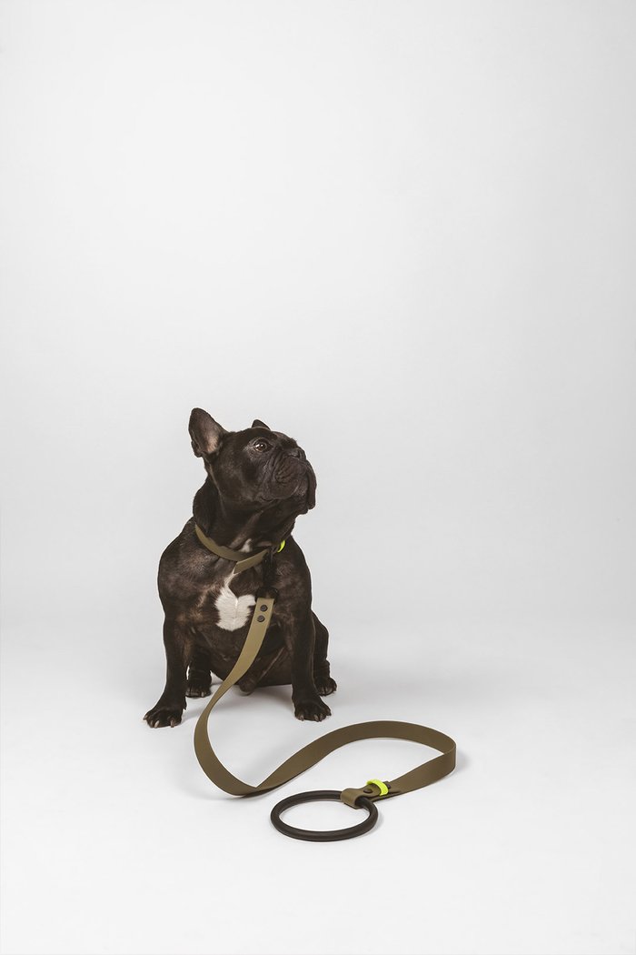 Fashionable olive vegan leather dog lead